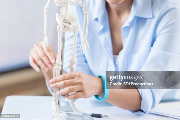 gezondheidswerker onderzoekt skelet model - human skeletal system stockfoto's en -beelden