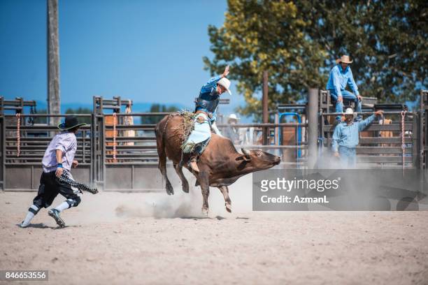 wilder cowboy im wettbewerb - bucking stock-fotos und bilder