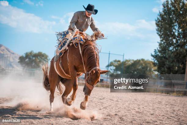 ich habe diese - bucking stock-fotos und bilder