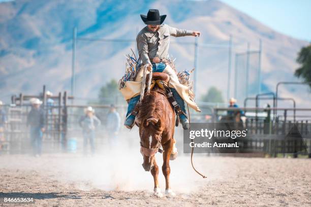 laat? s doen dit! - rodeo stockfoto's en -beelden