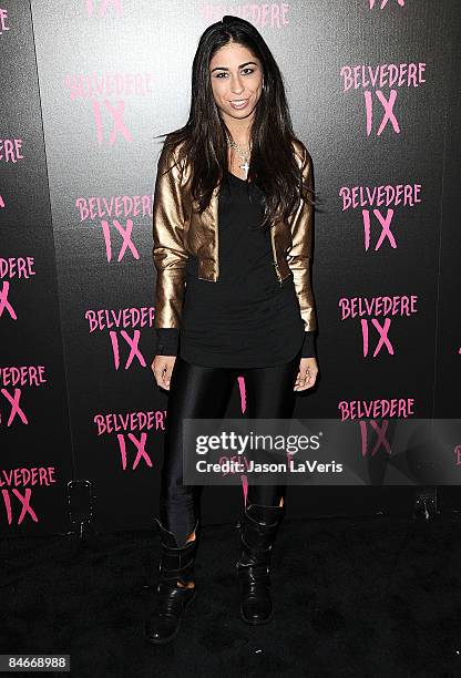 Courtenay Semel attends the Belvedere IX launch party at MyHouse on February 5, 2009 in Hollywood, California.