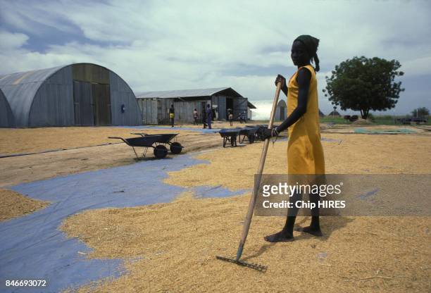 Dinka people of Southern Sudan during construction of the Jonglei canal on February 24, 1983 in Sudan.