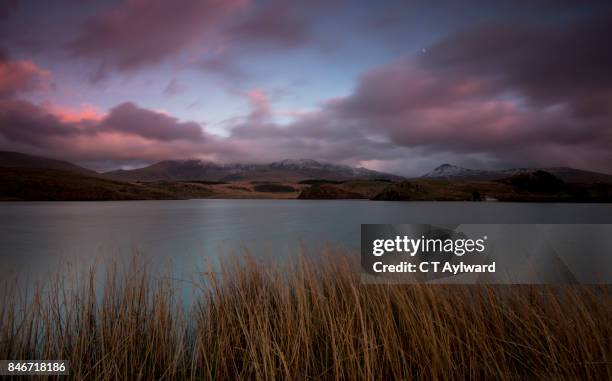 llyn y dywarchen - snowdonia fotografías e imágenes de stock