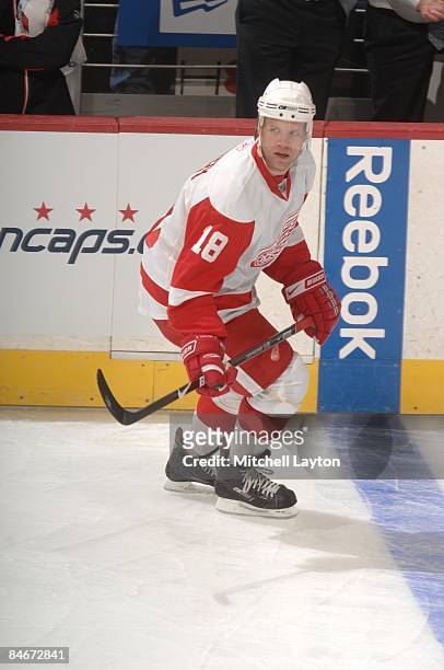 Kirk Maltby of the Detroit Red Wings skates during warm ups before the game against the Washington Capitals on January 31, 2009 at the Verizon Center...