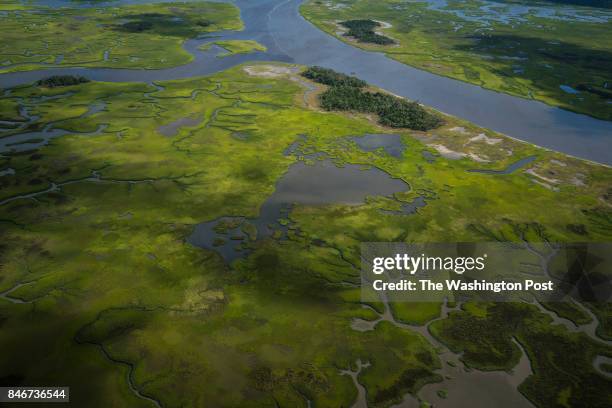 Timucuan Preserve Photos and Premium High Res Pictures - Getty Images