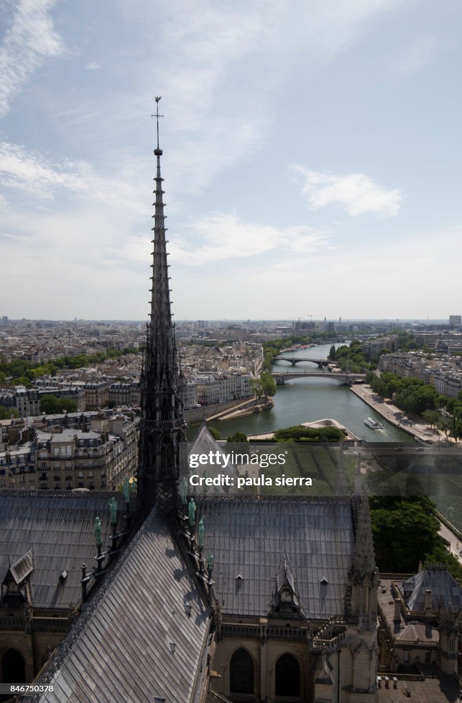 Roof of Notre Dame Cathedral