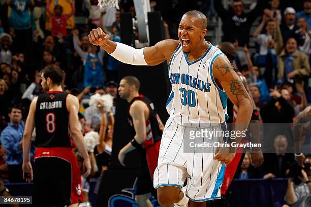 David West celebrates after Peja Stojakovic of the New Orleans Hornets made a three point shot against the Toronto Raptors on February 6, 2009 in New...