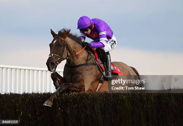 Denman ridden by Ruby Walsh jumps a frence on his way to coming second in the Levy Board Steeple Chase during the race meeting at Kempton Racecourse...