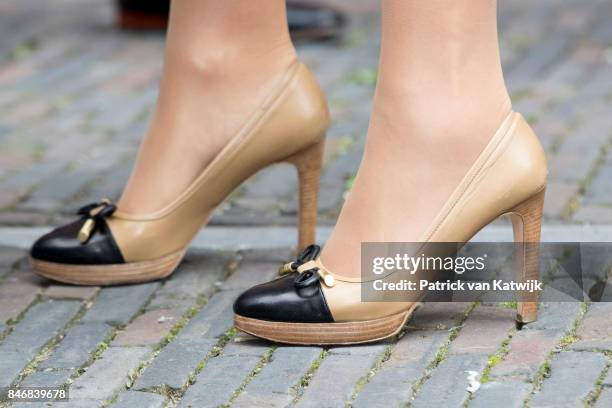 Shoes of Queen Maxima of The Netherlands during the opening of the Asian Library of the University Leiden on September 14, 2017 in Leiden,...