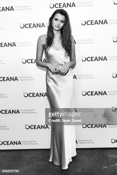 Abbey Lee Kershaw attends the Oceana New York Gala at Blue Hill at Stone Barns on September 13, 2017 in Tarrytown, New York.