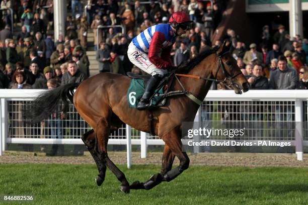 Grumeti ridden by Wayne Hutchinson goes to post in the JCB Triumph Hurdle Trial