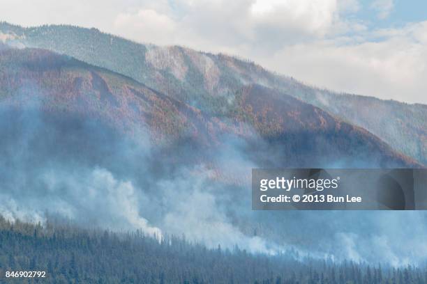 forest fire in british columbia, canada - nelson british columbia stock pictures, royalty-free photos & images