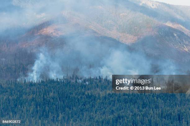 forest fire in british columbia, canada - nelson british columbia stock pictures, royalty-free photos & images