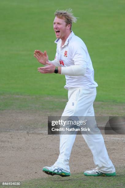 Simon Harmer of Essex celebrates after he takes the winning wicket during the County Championship Division One match between Warwickshire and Essex...