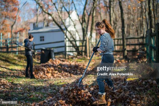 two teenager girls cleaning the backyard from fallen leaves at fall. poconos, pennsylvania - september garden stock pictures, royalty-free photos & images