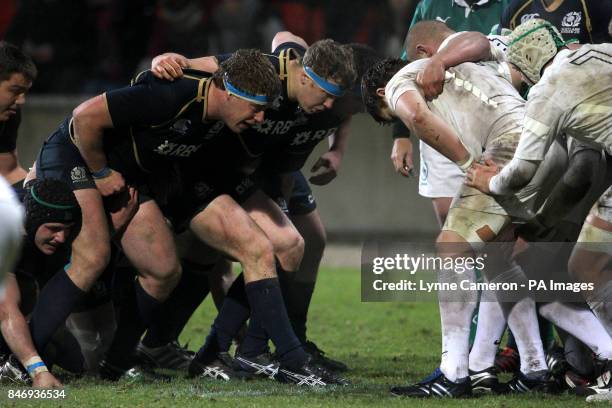 1,389 Robin Turner Stock Photos, High-Res Pictures, and Images - Getty ...