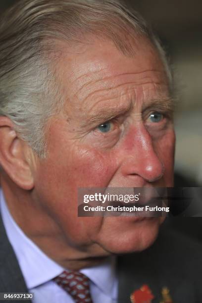 Prince Charles, Prince of Wales attends The Westmorland County Show on September 14, 2017 in Milnthorpe, England. During his tour of the Westmorland...