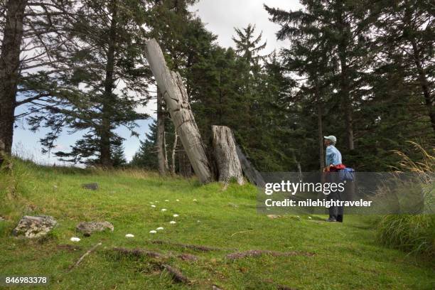 ancient haida skedans village totem poles haida gwaii british columbia canada - haida gwaii totem poles stock pictures, royalty-free photos & images