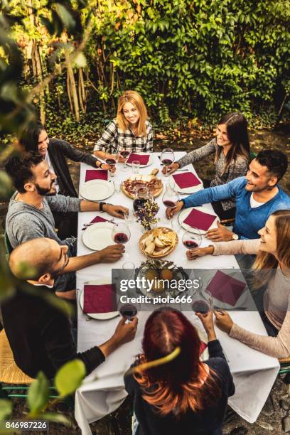 partij van de wijnbouw op agriturismo in italië - agritoerisme stockfoto's en -beelden