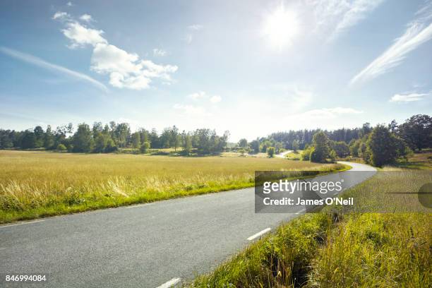 empty road through fields - green road foto e immagini stock