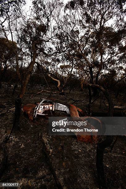 Peak Ridge Nsw 71 Peats Ridge New South Wales Stock Photos, High-Res Pictures, and ...