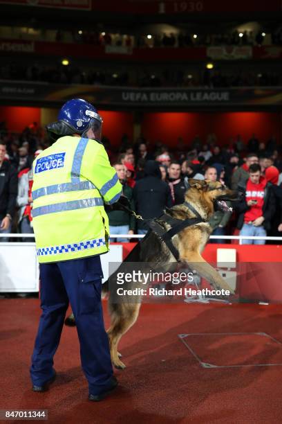 Riot police with dogs stand infront of the crowd ahead of the UEFA Europa League group H match between Arsenal FC and 1. FC Koeln at Emirates Stadium...