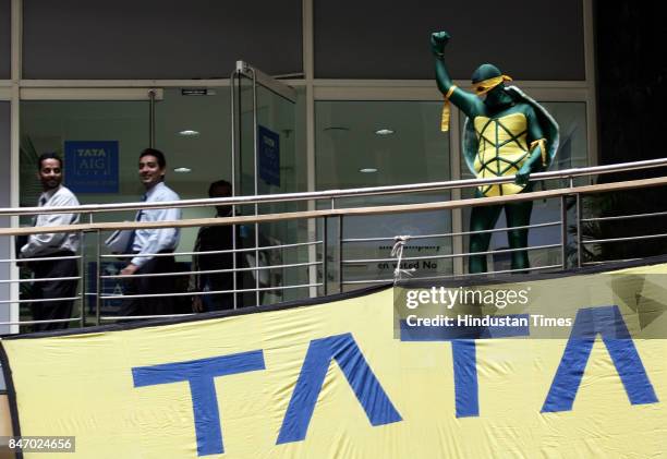Protesting Turtles 300 Turtle Costume Stock Photos, High-Res Pictures, and Images - Getty ...