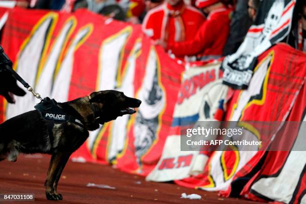 Police dog inside the stadium keeps an eye on Cologne supporters in the stands as the kick off is delayed due to crowd safety issues ahead of the...