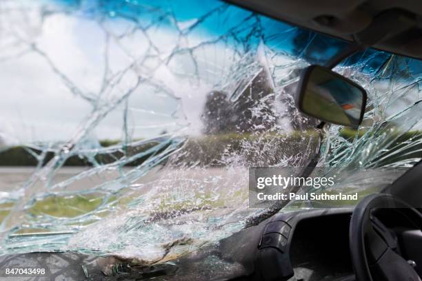 accidents - broken glass car stock pictures, royalty-free photos & images