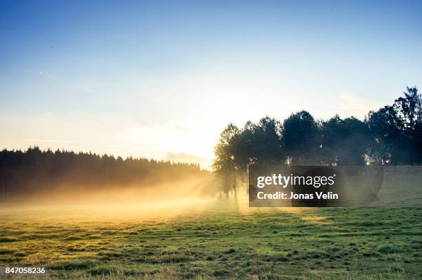 soluppgång över fält - soluppgång stockfoto's en -beelden