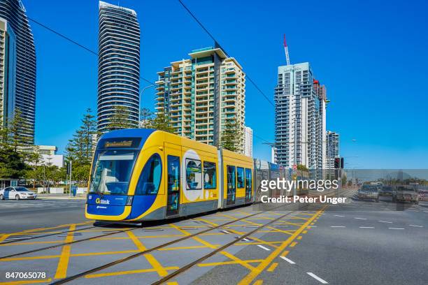 light rail trams on the gold coast streets,gold coast,queenslan,australia - gold coast light rail stock pictures, royalty-free photos & images