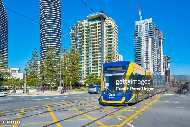 light rail trams on the gold coast streets,gold coast,queenslan,australia - gold coast light rail stock pictures, royalty-free photos & images