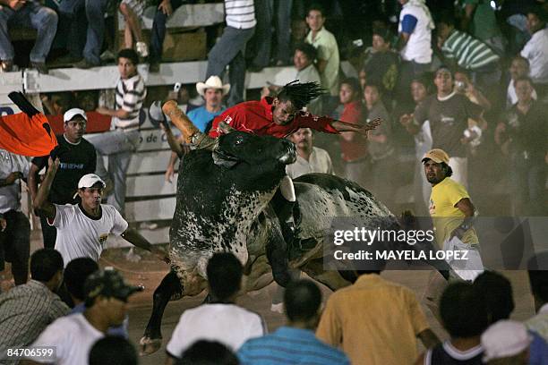 In Spanish By Ana Fernandez Bull rider Ricardo Gutierrez performs over the popular bull "Malacrianza" on February 7 in Nicoya, about 200 km north of...