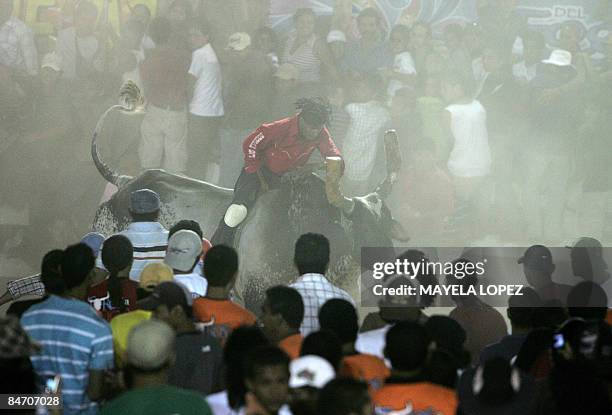 In Spanish By Ana Fernandez Bull rider Ricardo Gutierrez performs over the popular bull "Malacrianza" on February 7 in Nicoya, about 200 km north of...