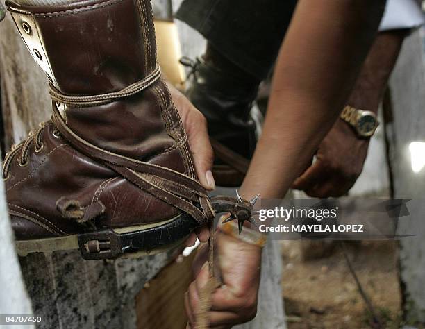 In Spanish By Ana Fernandez Bull riders get ready for their presentations during a bull riding festival held to find out if the popular bull...