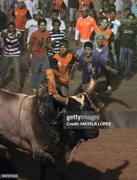 In Spanish By Ana Fernandez People bother the popular bull "Malacrianza", during a bull riding festival held to find out if the "Malacrianza", which...