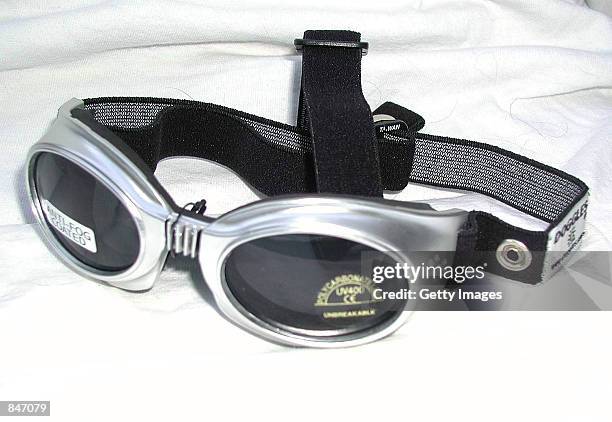 Doggles Vertical 21 Doggles Stock Photos, High-Res Pictures, and Images - Getty Images