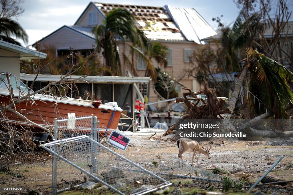 Florida Begins Long Recovery After Hurricane Irma Plows Through State