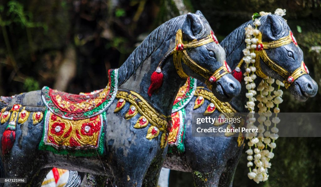 The Miniature Hoeses of Chiang Mai, Thailand