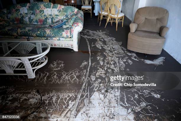 Mud deposited by the storm surge created by Hurricane Irma cake the floor of Robert and Nancy Heater's home September 14, 2017 near Big Pine Key,...