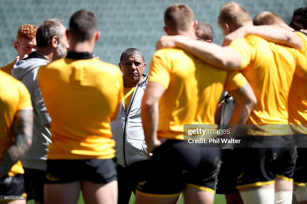 South Africa Springboks Captain's Run