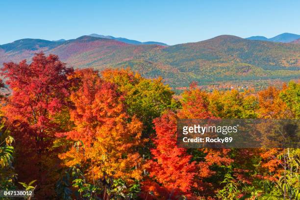 indian summer in new hampshire, usa - maple tree stock pictures, royalty-free photos & images