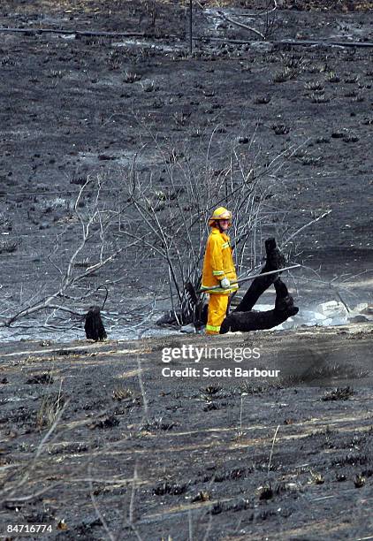 Firefighter surveys the blackened remains following the devastating bush fires on February 10, 2009 in Bendigo, Australia. Victorian Police have...