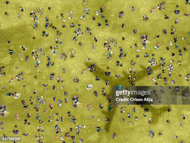 people sunbathing in central park - crowded airplane stock pictures, royalty-free photos & images