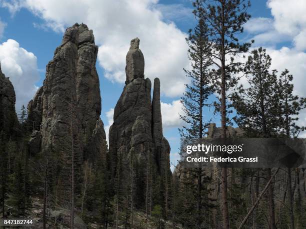 Pinnicale Rocks 204 Pinnacle Rock State Park Stock Photos, High-Res Pictures, and ...