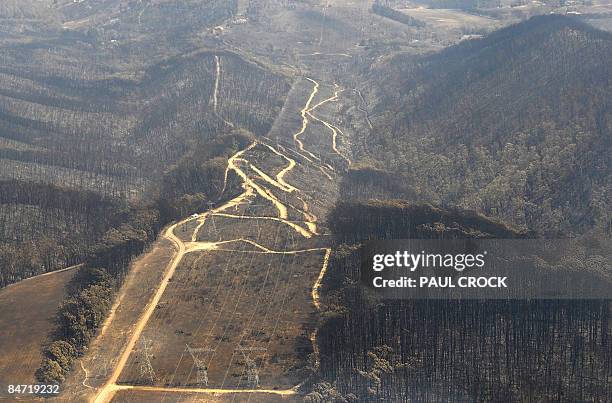 Electricity transmission lines through a charred landscape show the scale of the devastation of the wildfire which ripped through the township of...