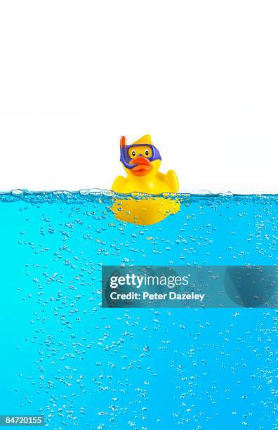 rubber duck with scuba mask in blue water - rubber duck stock pictures, royalty-free photos & images