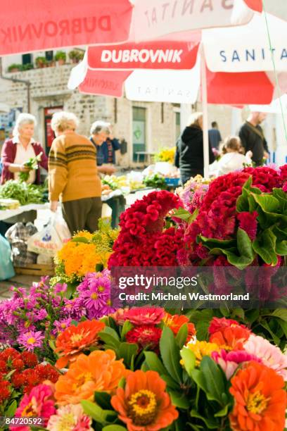 flower vendors in dubrovnik, croatia - michele marchand photos et images de collection