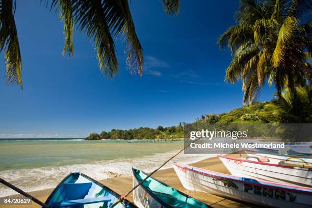 fishing village of pariatuview, tobago - tobago stock-fotos und bilder