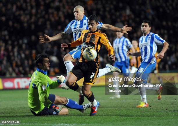 Hull City's Cameron Stewart sees his shot saved by Brighton & Hove Albion goalkeeper Peter Brezovan during the npower Football League Championship...